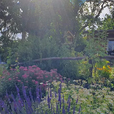 Ellernmuehle - Blumenwiese *