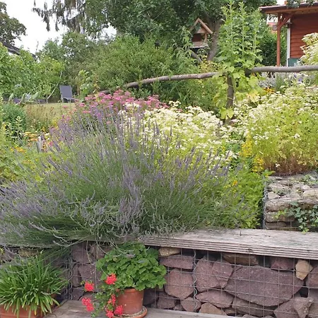 Ellernmuehle - Blumenwiese * Quedlinburg