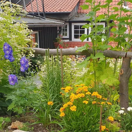 Ellernmuehle - Blumenwiese Quedlinburg
